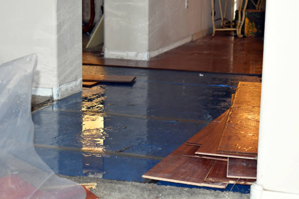 Professional Sewage Cleanup technician working in West Kingston, RI